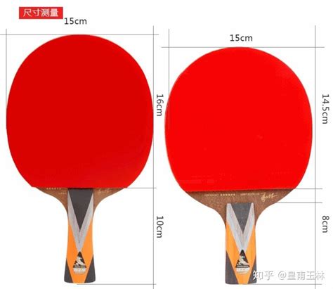 乒乓球底板轻重区别