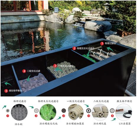 九江水池过滤系统图片