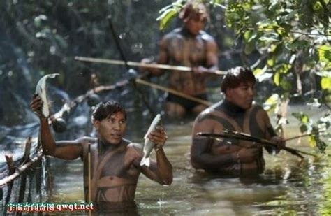 亚马逊丛林原始人视频