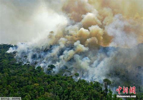 亚马逊森林火烧了多久