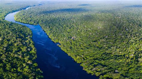 亚马逊河为什么会被称为人类禁区
