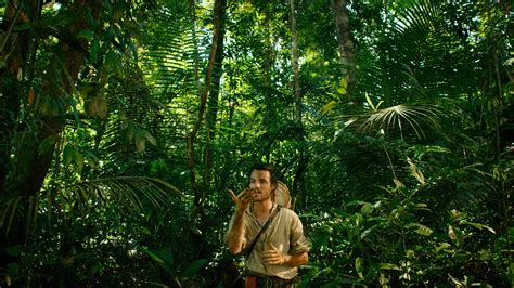 亚马逊雨林纪录片国语