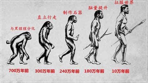 人类从什么进化而来的