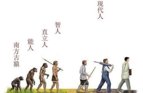 人类真的是进化来的吗