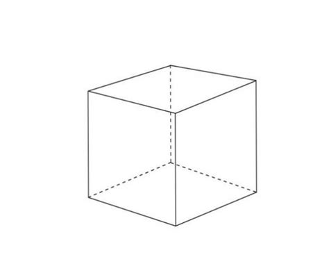 什么东西叫正方体