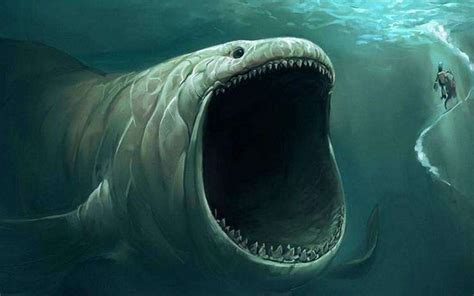 从未见过的深海巨兽