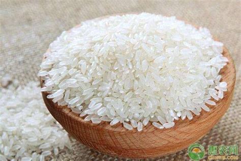 优质大米多少钱一斤