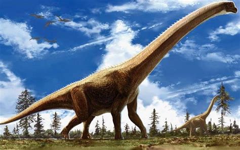 你知道世界上最大的五个恐龙吗