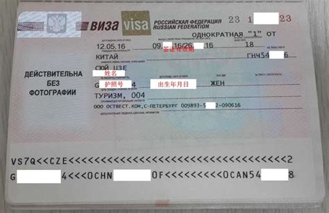 俄罗斯打工一年签证多少钱
