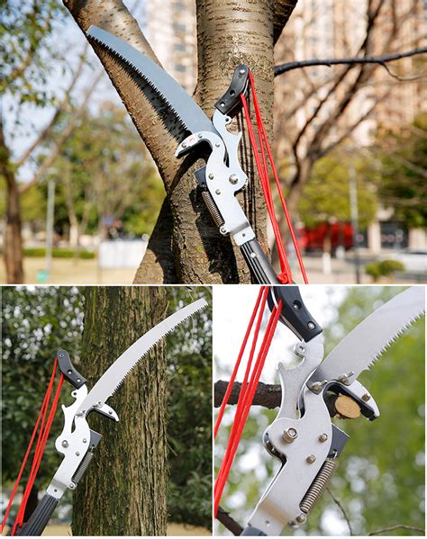 修剪高树枝的工具