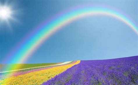 做梦看见彩虹什么预兆