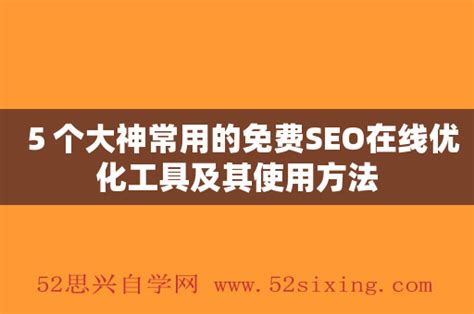 seo 网站优化平台图片