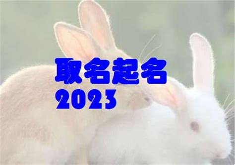 兔名字大全2022
