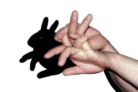 兔子用手影怎么做