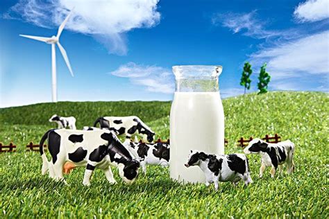 全球牛奶产地哪里最好