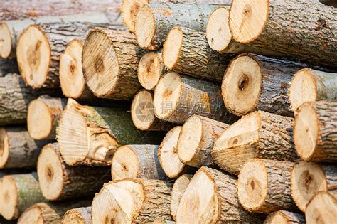 关于木头的行业起名