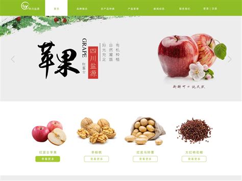 兴庆区农产品网站如何开发