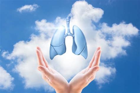 养肺养生四种方法