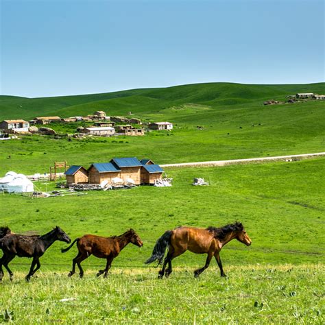 内蒙古网站优化排行榜