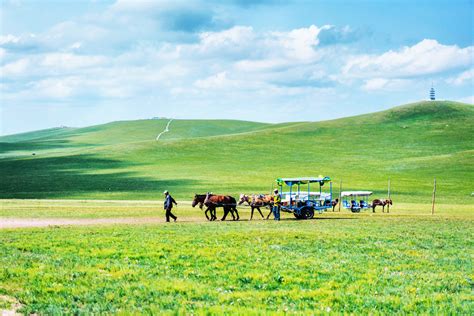内蒙古草原旅游攻略