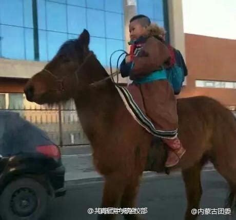内蒙小女孩骑马30公里上学