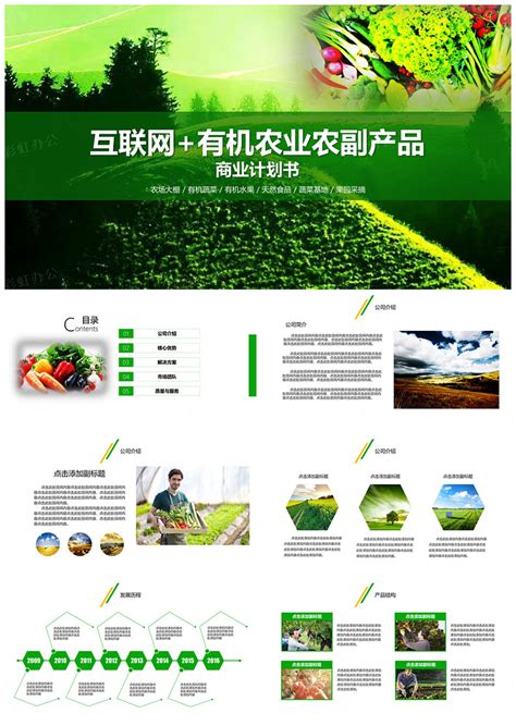 农业互联网项目计划书