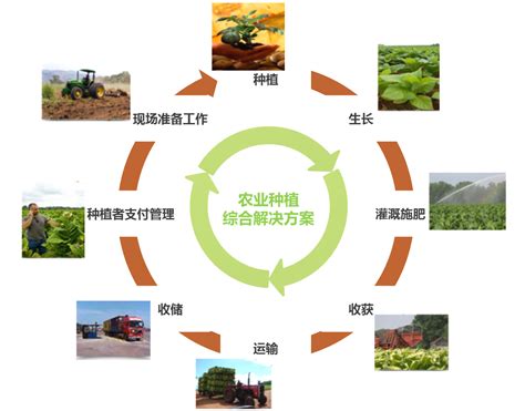 农业公司网站建设流程及方案策划