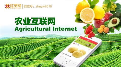 农产品互联网品牌推广