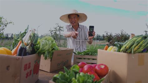 农产品电商平台推广视频
