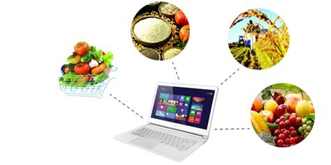 农产品电子商务平台载体