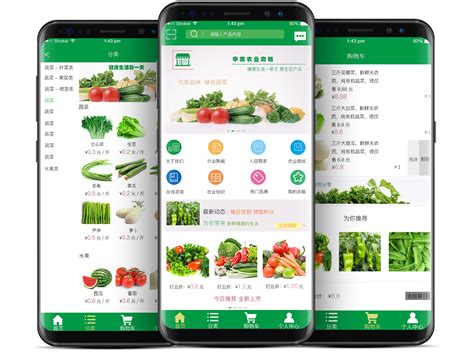 农产品app上线推广方案
