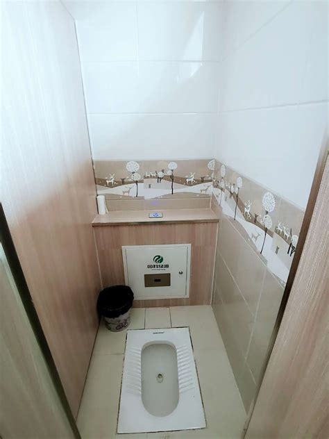 农村安装厕所图片