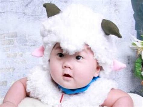 冬天出生的羊宝宝取名