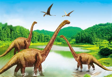 几个世纪的恐龙