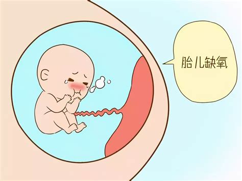 几周的时候胎儿易缺氧