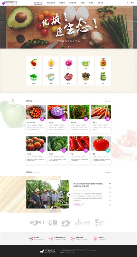 利通区农产品网站推广