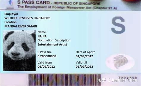 办新加坡工作签证要多少钱