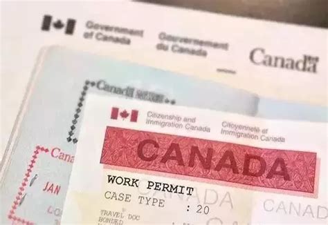 加拿大工作签 流程
