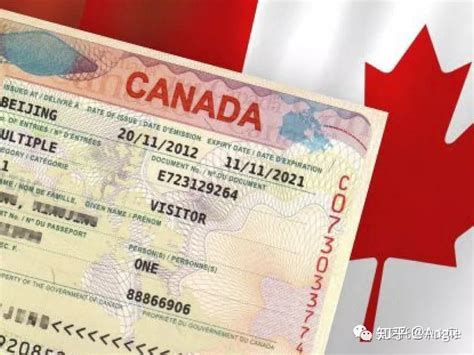 加拿大探亲签证材料