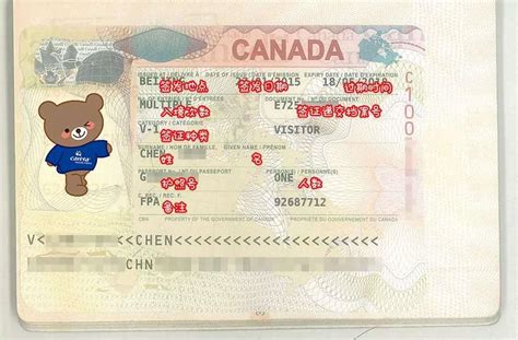 加拿大旅游签证银行流水会核实吗