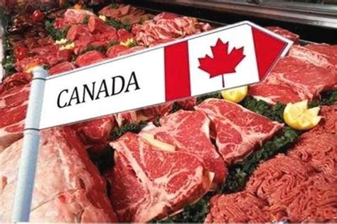 加拿大猪肉价格