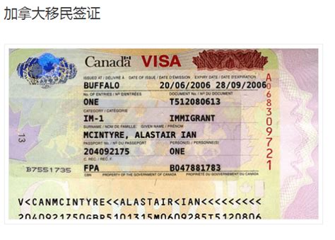 加拿大签证文件可以自己翻译吗