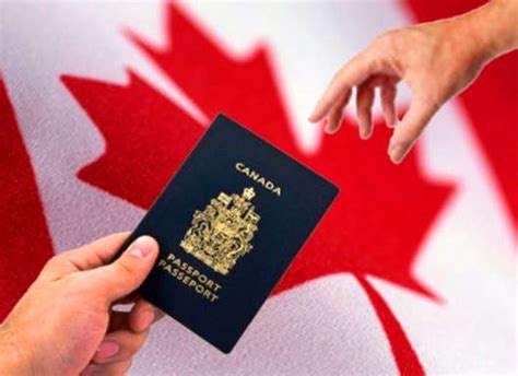 加拿大签证最新政策