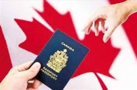 加拿大签证需要多久