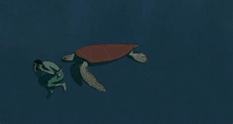 动画片红海龟的寓意