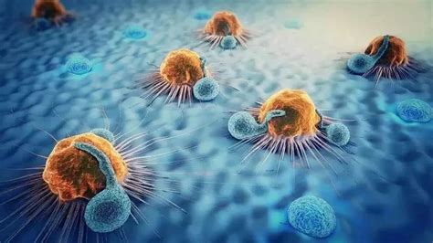 化疗6次基本能将癌细胞杀干净吗