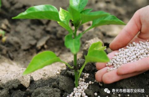 化肥产品推广方案