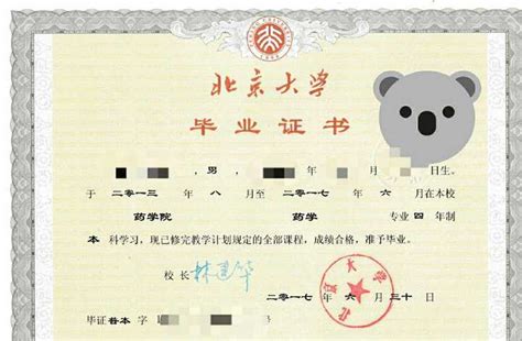 北京大学第二学士学位毕业证书