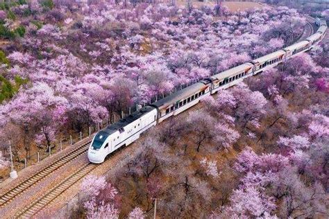 北京开往春天的列车