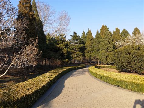 北京植物园开车攻略路线